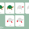 Images classifiées puzzle tortue - rouge