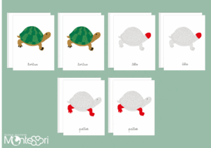 Images classifiées puzzle tortue - rouge