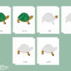 Images classifiées puzzle tortue