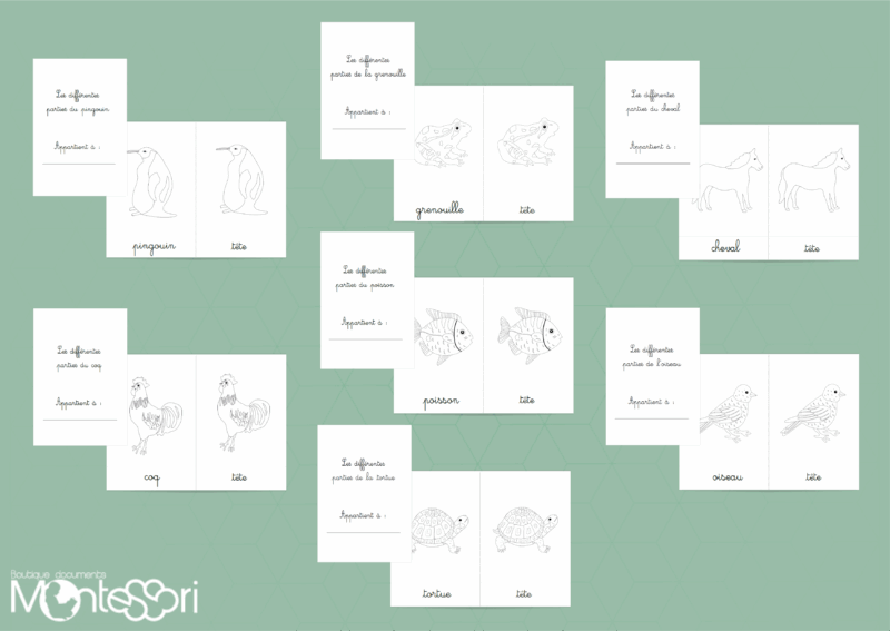 Pack coloriage puzzles différentes parties d'un animal
