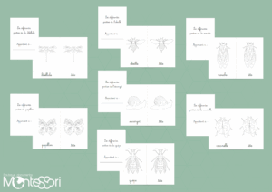Pack coloriage puzzles insectes & mollusque