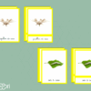 Images classifiées cycle papillon de soie - image réelle