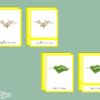Images classifiées cycle papillon de soie - image vectorielle