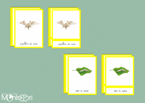 Images classifiées cycle papillon de soie - image vectorielle