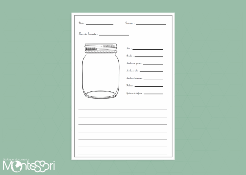 Fiche de recherches scientifiques insectes