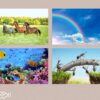 Dossier rédaction de textes & images 1