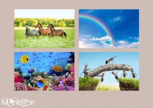 Dossier rédaction de textes & images 1