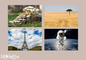 Dossier rédaction de textes & images 2