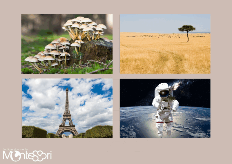 Dossier rédaction de textes & images 2