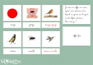 Mots composés