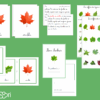 Nomenclature types de feuilles