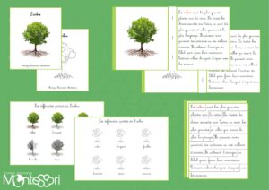 Livrets des définitions - arbre