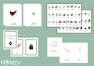 Dossier empreintes animales
