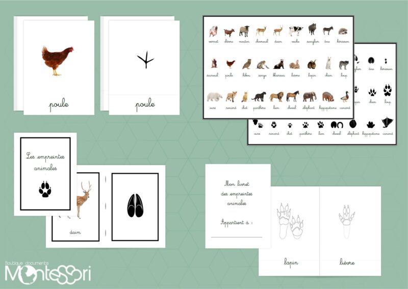 Dossier empreintes animales