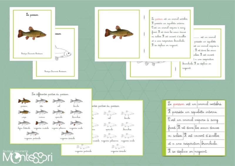 Livret des définitions - Le poisson