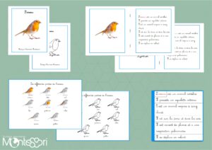 Livret des définitions - L'oiseau
