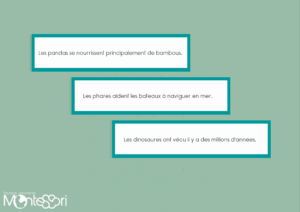 Phrases à recopier en Cursive