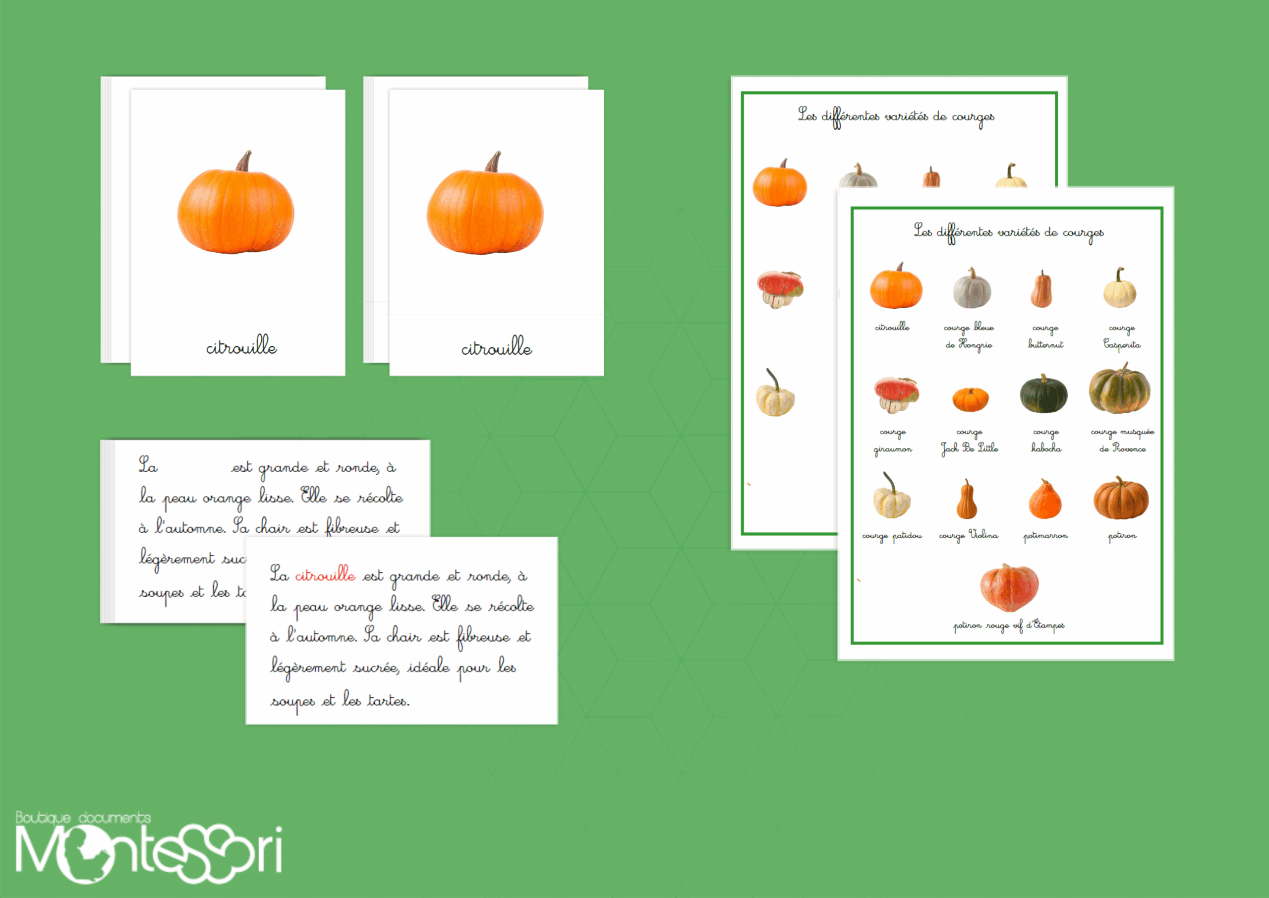 Les différentes variétés de courges
